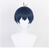 BLUE LOCK Isagi Yoichi Cosplay Wig Heat Resistant Synthetic Hair Carnival Halloween Party Props